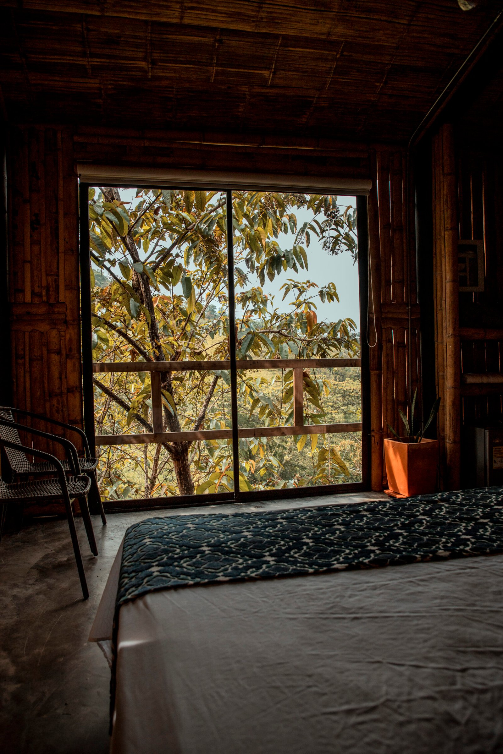 _MG_9470-1 copia